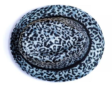 Leopard hat fashion Stock Photos