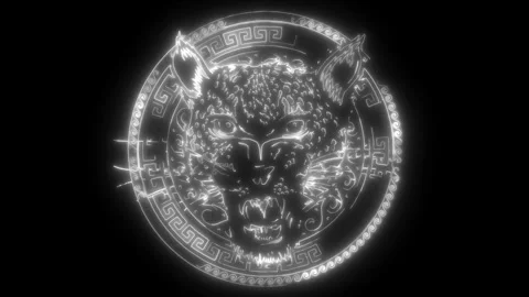 Leopard head in black and white outline Stock Footage 276271237