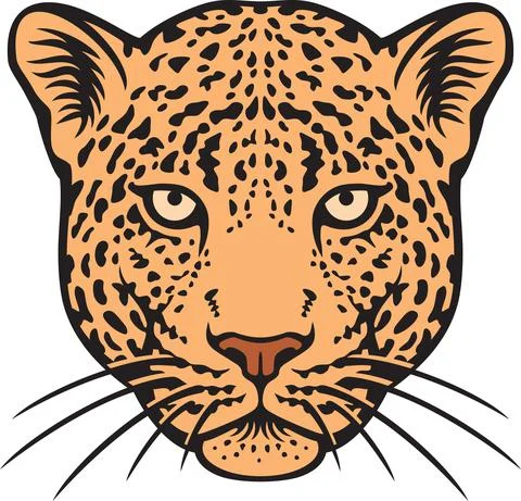 Leopard head color Stock Illustration