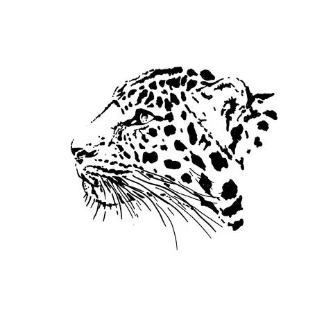 Leopard head graphics vector Stock Illustration