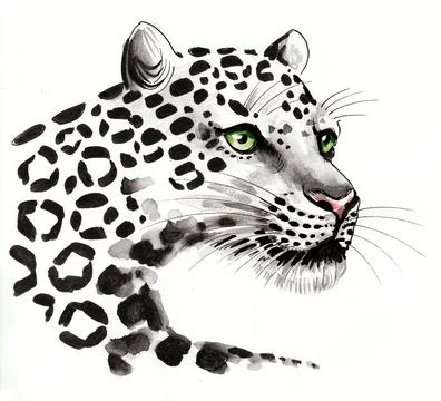 Leopard head Stock Illustration