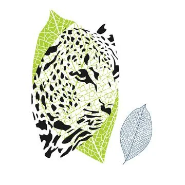 Leopard head Stock Illustration