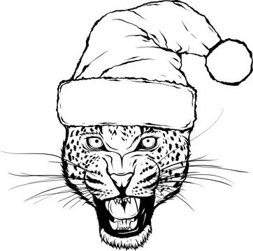 Leopard head. Line art. Vector isolated illustration on white. Hand drawn sketch 스톡 일러스트