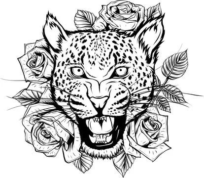 Leopard head. Line art. Vector isolated illustration on white. Hand drawn sketch Illustrazione stock