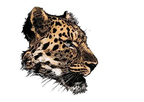 Leopard head vector illustration Stock Illustration