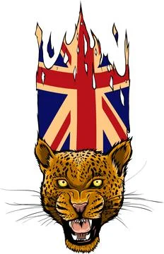 Leopard head in vector, Panthera pardus, big cat, wild animal Stock Illustration