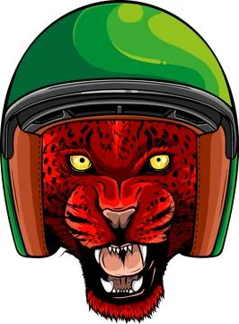 Leopard head in vector, Panthera pardus, big cat, wild animal Stock Illustration