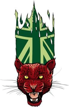 Leopard head in vector, Panthera pardus, big cat, wild animal Stock Illustration