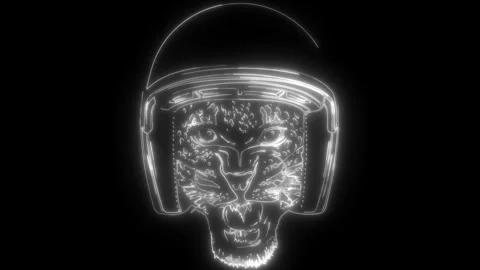 Leopard head in white line on black background Stock Footage 276270684
