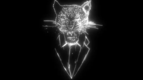 Leopard head in white line on black background Stock Footage 276317455