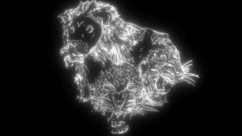 Leopard head in white line on black background Stock Footage 276403694