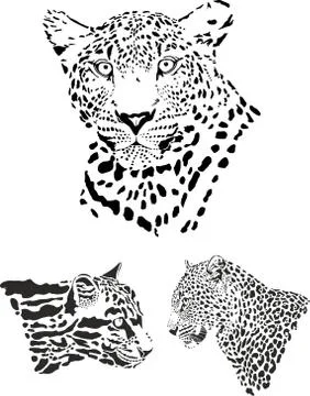 Leopard heads 스톡 일러스트