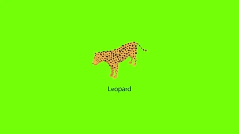 Leopard icon animation Stock Footage 156458676