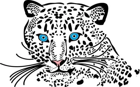 Leopard Stock Illustration