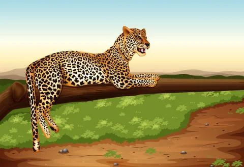 Leopard Ilustración de archivo