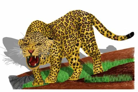 Leopard Stock Illustration