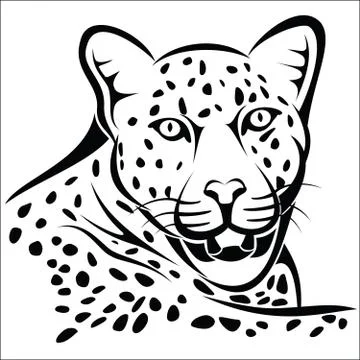 Leopard Stock Illustration