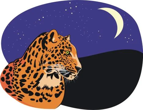 Leopard Stock Illustration