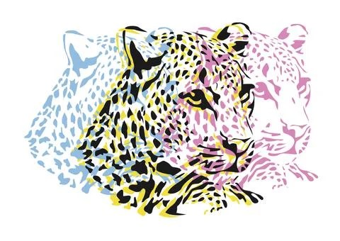 Leopard Illustrazione stock