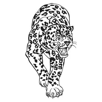 Leopard illustration, aggressive pose, roaring, black and white, tribal style 스톡 일러스트