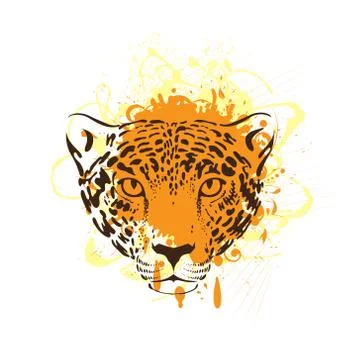 Leopard, jaguar Stock Illustration