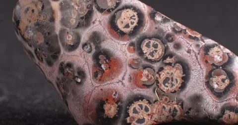 Leopard jasper. Close-up mineral texture. Stock Footage 164832096