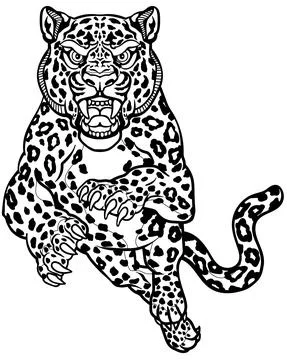 Leopard jump in the front view. Black and white Stock Illustration
