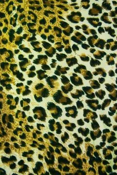Leopard leather pattern texture background Stock Photos