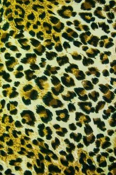 Leopard leather pattern texture background Stock Photos