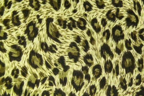 Leopard leather pattern texture background Stock Photos