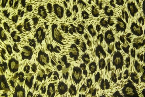 Leopard leather pattern texture background Stock Photos