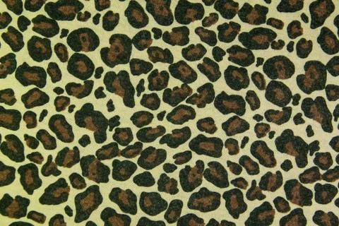 Leopard leather pattern texture background Stock Photos