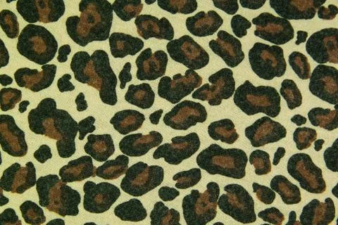 Leopard leather pattern texture background 스톡 사진