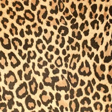 Leopard leather pattern texture closeup 스톡 사진