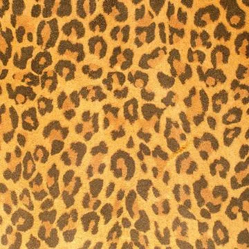 Leopard leather pattern texture closeup Stock Photos