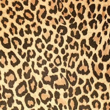 Leopard leather pattern texture closeup Leopard leather pattern texture cl... Stock Photos
