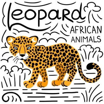 Leopard with lettering on a white background isolated. Stock Illustration