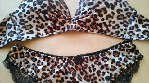Leopard lingerie set on beige background close-up Stock Footage 172073197