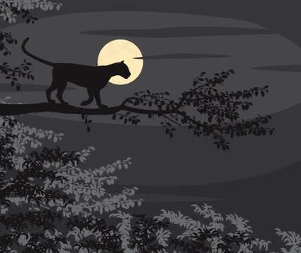 Leopard moon Stock Illustration