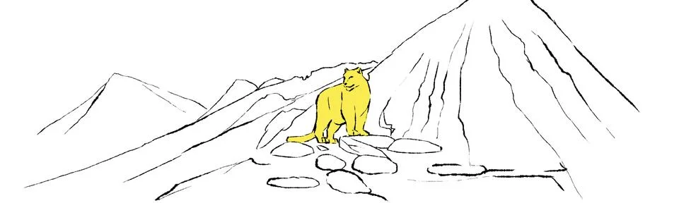 Leopard on a mountain Stock Illustration