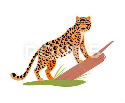 Leopard next to a tree. Vector illustration on a white background. Stock Illustration