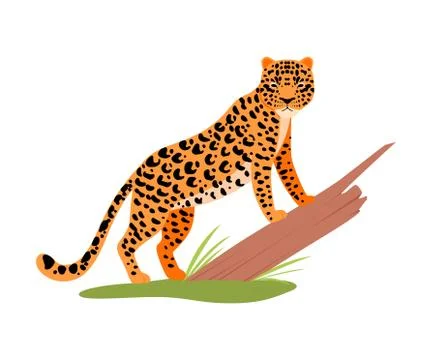 Leopard next to a tree. Vector illustration on a white background. Stock Illustration