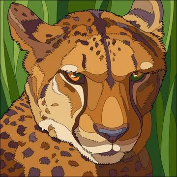 Leopard (Panthera pardus) Stock Illustration