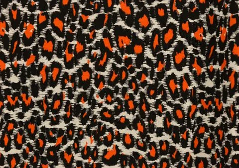 Leopard pattern イラスト素材