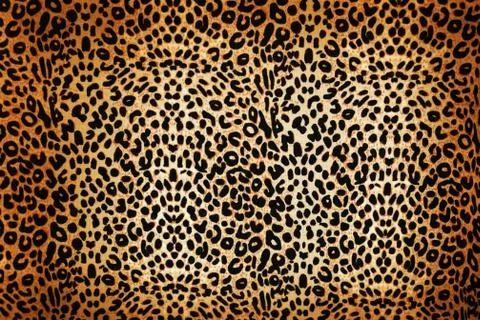 Leopard pattern イラスト素材