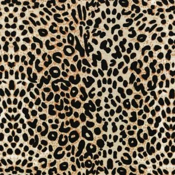 Leopard pattern Illustrazione stock