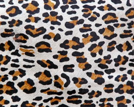 Leopard Pattern Safari Style Leopard Hide Animal Pattern Background Copyri... Stock Photos