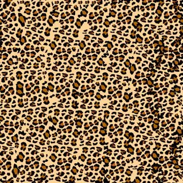 Leopard pattern. Seamless vector print. Realistic animal texture. Black and y Stock Illustration