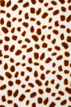 Leopard pattern texture Stock Photos