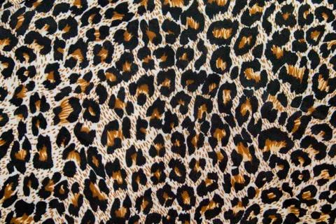 Leopard pattern texture. Textile, piece of clothes. Stock Photos